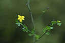 BUITEN BEELD Foto: 414272