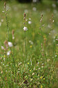 BUITEN BEELD Foto: 414277