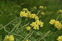 BUITEN BEELD Foto: 414278