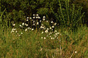 BUITEN BEELD Foto: 414284