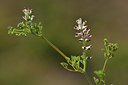 BUITEN BEELD Foto: 414304