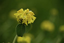 BUITEN BEELD Foto: 414306