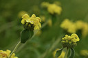 BUITEN BEELD Foto: 414328