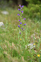 BUITEN BEELD Foto: 414346