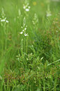BUITEN BEELD Foto: 414349