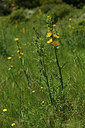 BUITEN BEELD Foto: 414367