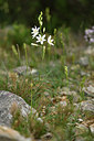 BUITEN BEELD Foto: 414377