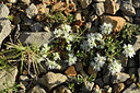 BUITEN BEELD Foto: 414383