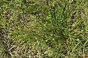 BUITEN BEELD Foto: 414421