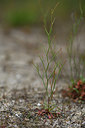 BUITEN BEELD Foto: 414431