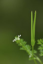 BUITEN BEELD Foto: 414436