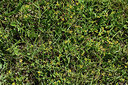 BUITEN BEELD Foto: 414438