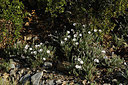 BUITEN BEELD Foto: 414442