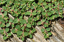 BUITEN BEELD Foto: 414461