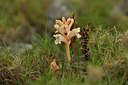 BUITEN BEELD Foto: 414489