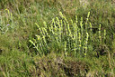 BUITEN BEELD Foto: 414490