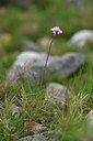 BUITEN BEELD Foto: 414491