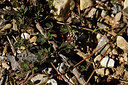BUITEN BEELD Foto: 414492
