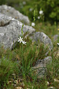 BUITEN BEELD Foto: 414495