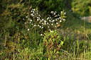 BUITEN BEELD Foto: 414505