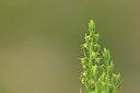 BUITEN BEELD Foto: 414508