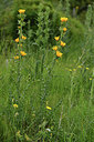 BUITEN BEELD Foto: 414510