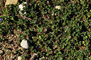 BUITEN BEELD Foto: 414539