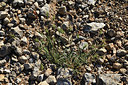 BUITEN BEELD Foto: 414542