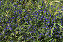 BUITEN BEELD Foto: 414568