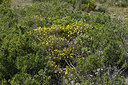 BUITEN BEELD Foto: 414574