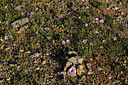 BUITEN BEELD Foto: 414583