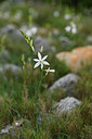 BUITEN BEELD Foto: 414592