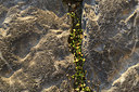 BUITEN BEELD Foto: 414666