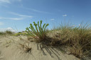 BUITEN BEELD Foto: 414701