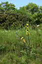 BUITEN BEELD Foto: 414703