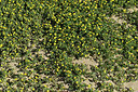 BUITEN BEELD Foto: 414711
