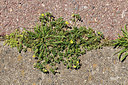 BUITEN BEELD Foto: 414748