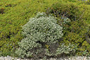 BUITEN BEELD Foto: 414766