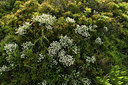 BUITEN BEELD Foto: 414795