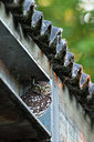 BUITEN BEELD Foto: 414835