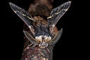 BUITEN BEELD Foto: 414891