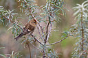 BUITEN BEELD Foto: 414897