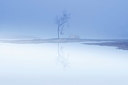 BUITEN BEELD Foto: 414957