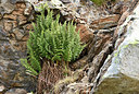 BUITEN BEELD Foto: 415004