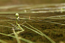 BUITEN BEELD Foto: 415009