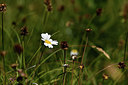 BUITEN BEELD Foto: 415016