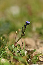 BUITEN BEELD Foto: 415030
