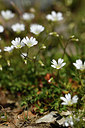 BUITEN BEELD Foto: 415037