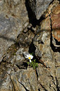 BUITEN BEELD Foto: 415042