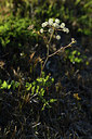 BUITEN BEELD Foto: 415054